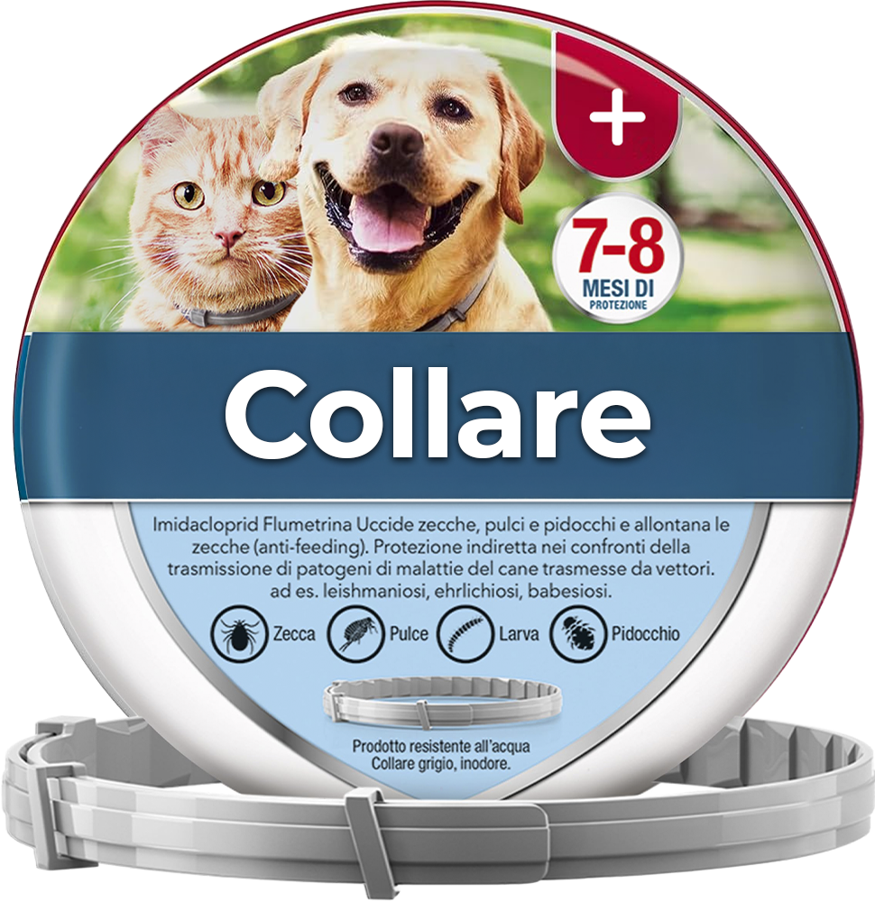 Collare antipulci and antizecche