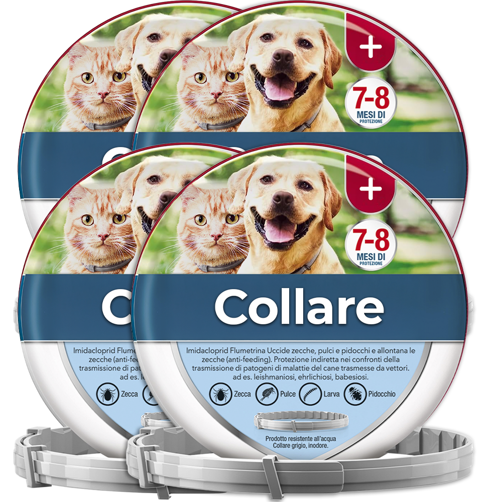 4 Collari antipulci and antizecche