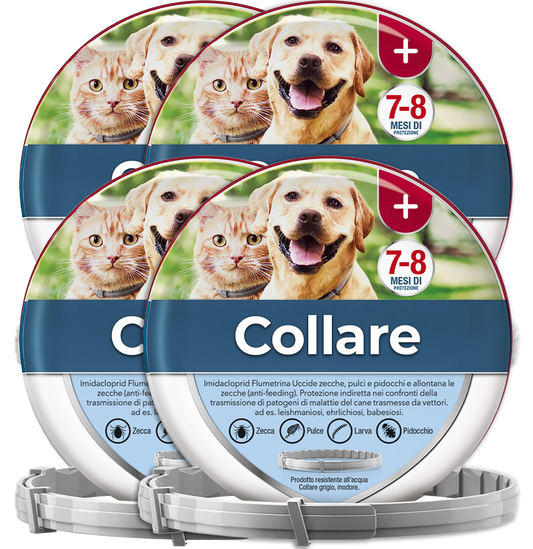 4 Collari antipulci and antizecche