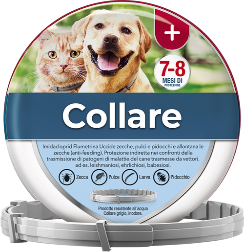 Collare antipulci and antizecche